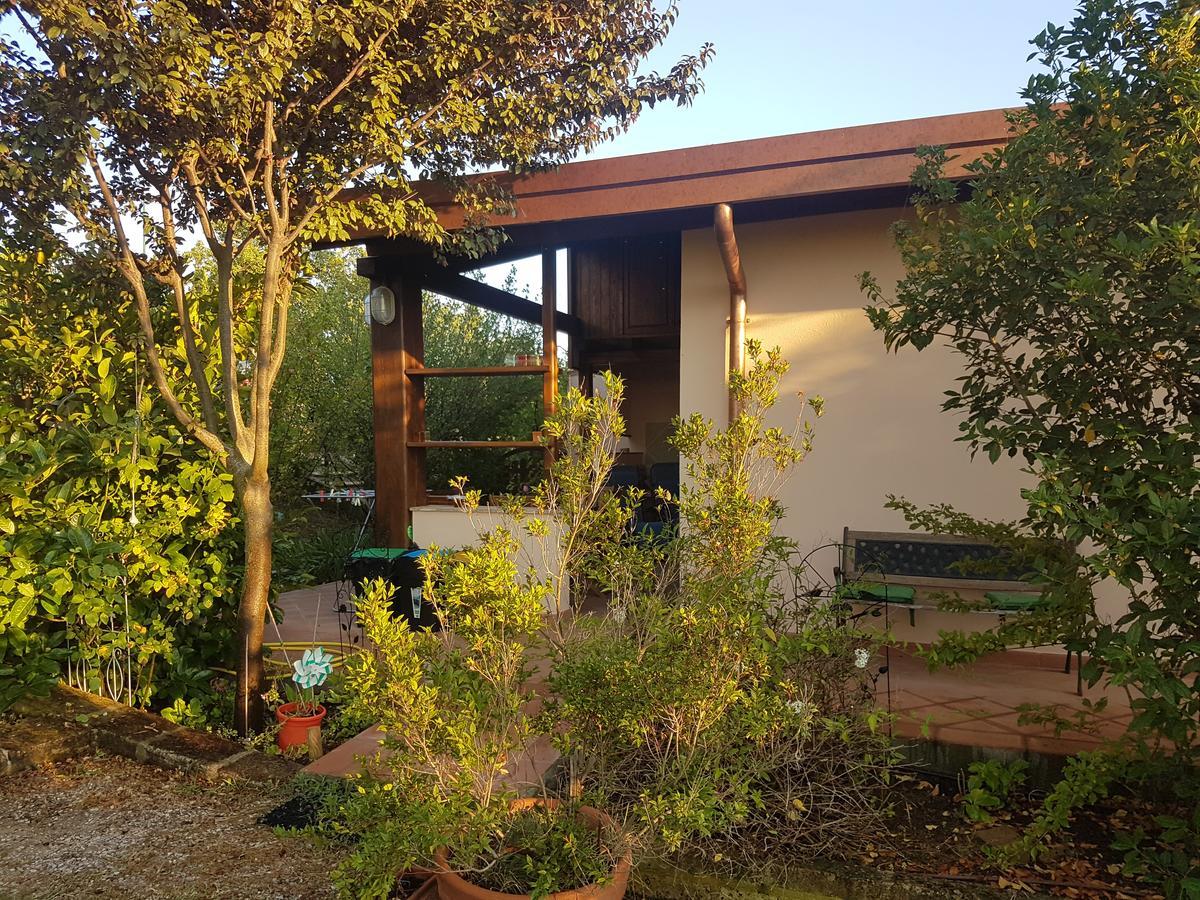 Agriturismo Collelungo Di Maremma Diaccialone Exterior photo